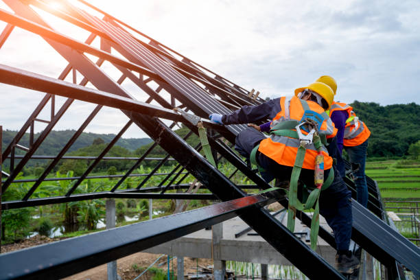 Best Flat Roof Repair Services  in Newark, IL
