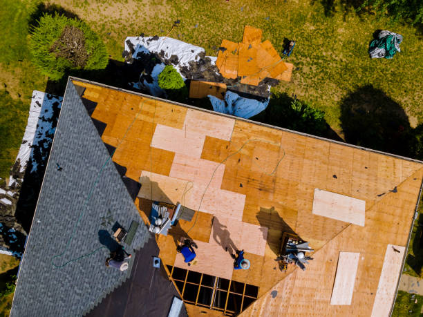 Best Roof Gutter Cleaning  in Newark, IL